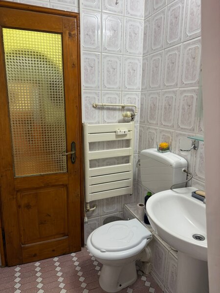 Parc Sebastian, Ileana Cosinzeana