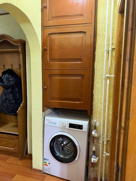 Parc Sebastian, Ileana Cosinzeana