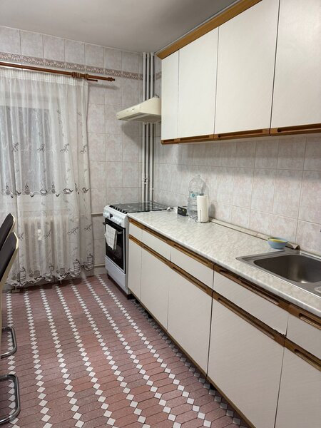 Parc Sebastian, Ileana Cosinzeana